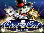 coolcat app|CoolCat Casino .